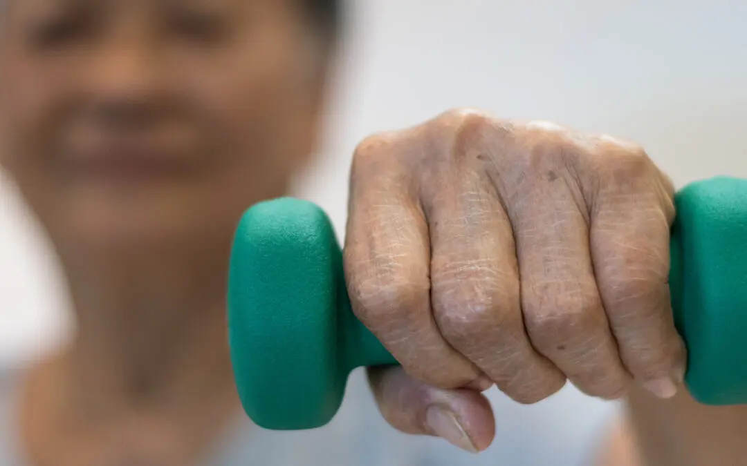 A Guide to Weight Training for Seniors