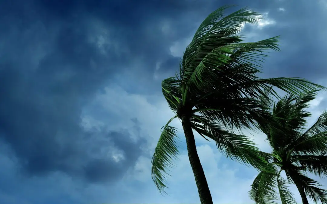 How Life Care Services Managed Its Communities Through Hurricane Irma