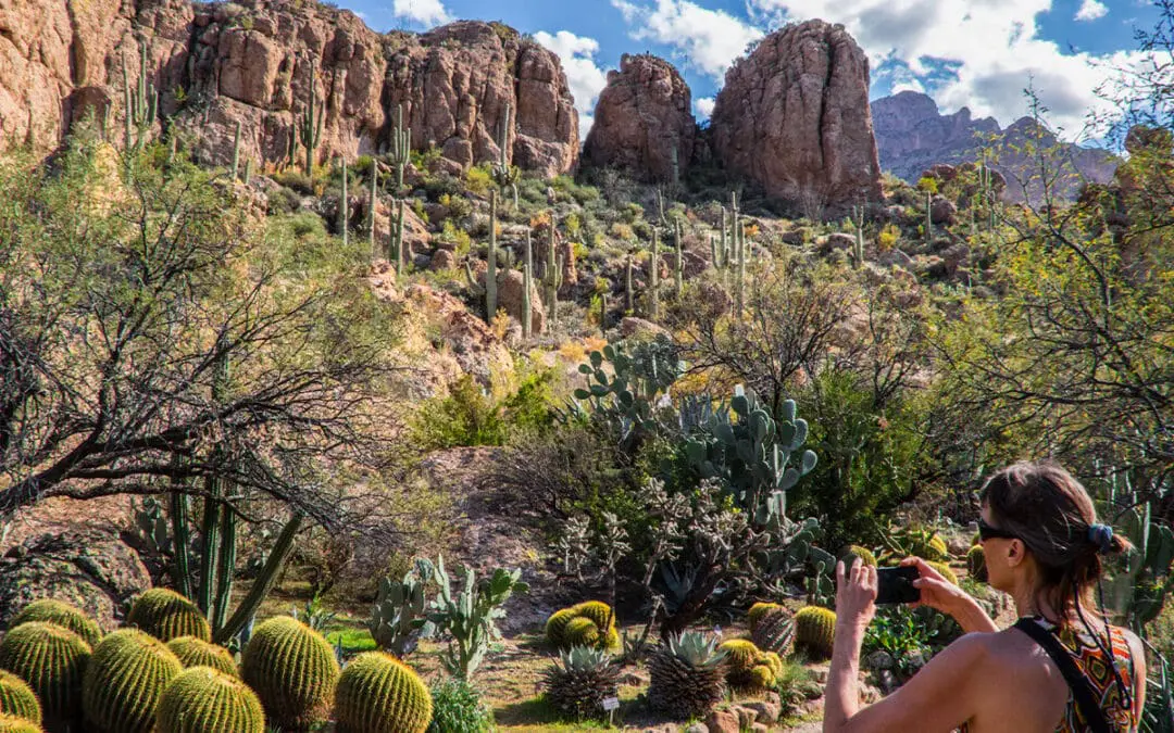 10 Fun Activities for Seniors in Phoenix, AZ