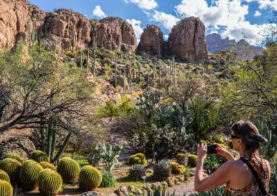 10 Fun Activities for Seniors in Phoenix, AZ