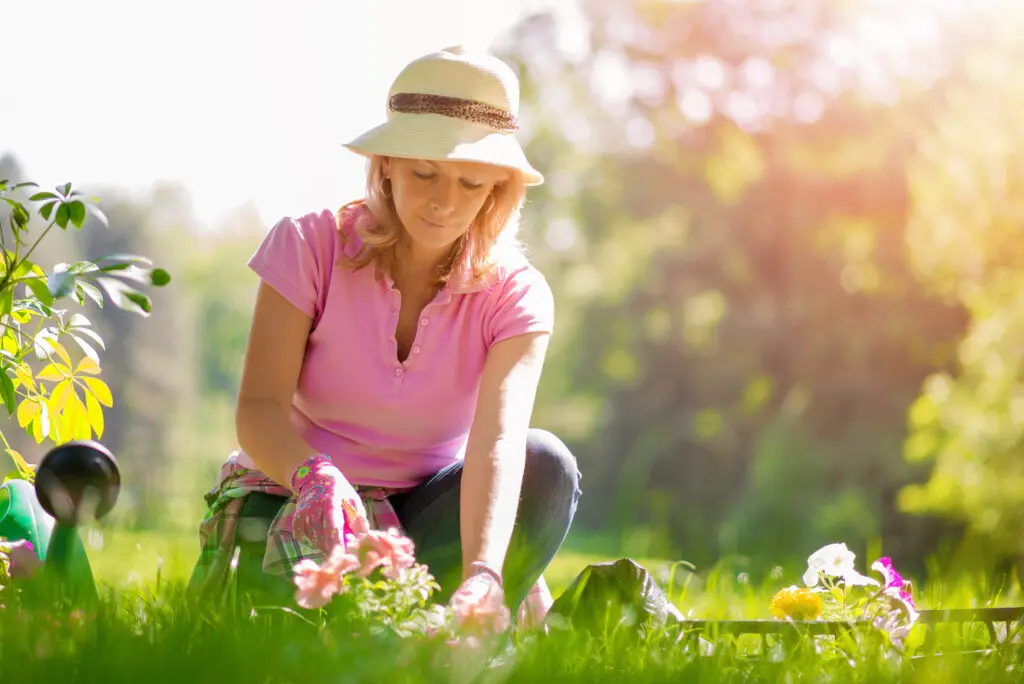 Senior gardening and following summer safety tips for seniors