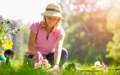 7 Smart Summer Safety Tips for Seniors