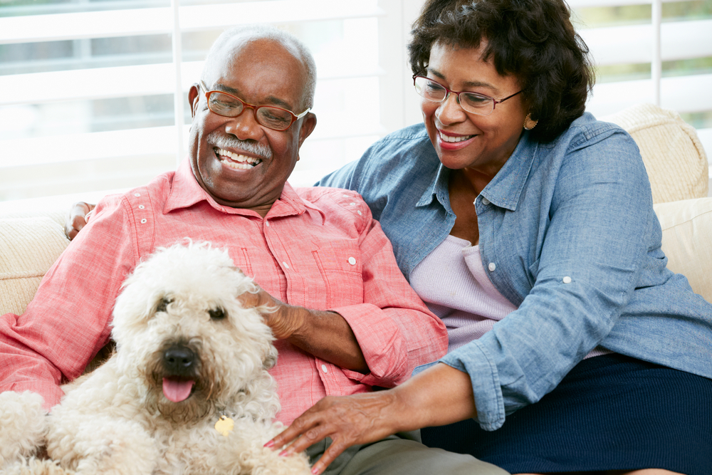 Health Benefits of Pets for Seniors