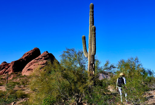 senior hiking in phoenix area
