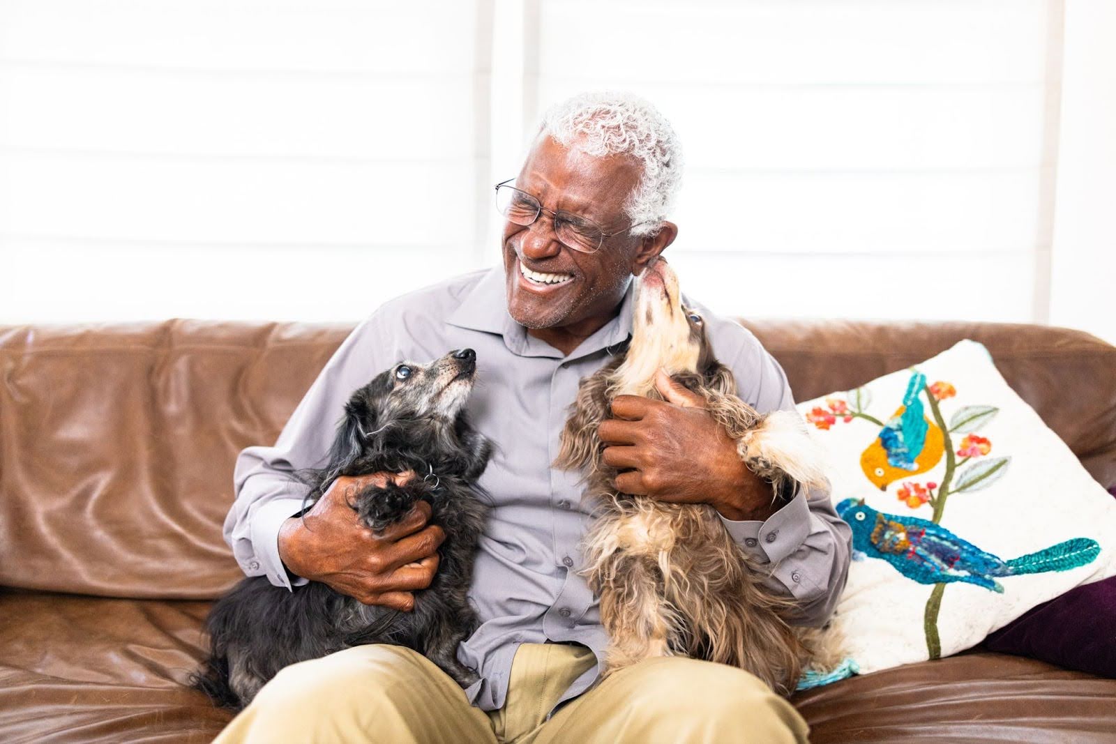 Senior man with his two dogs
